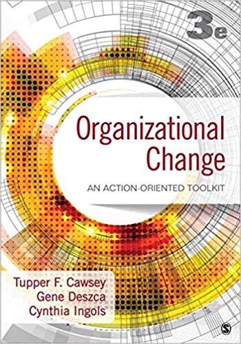 Organizational Change: An Action-Oriented Toolkit 3rd Edition